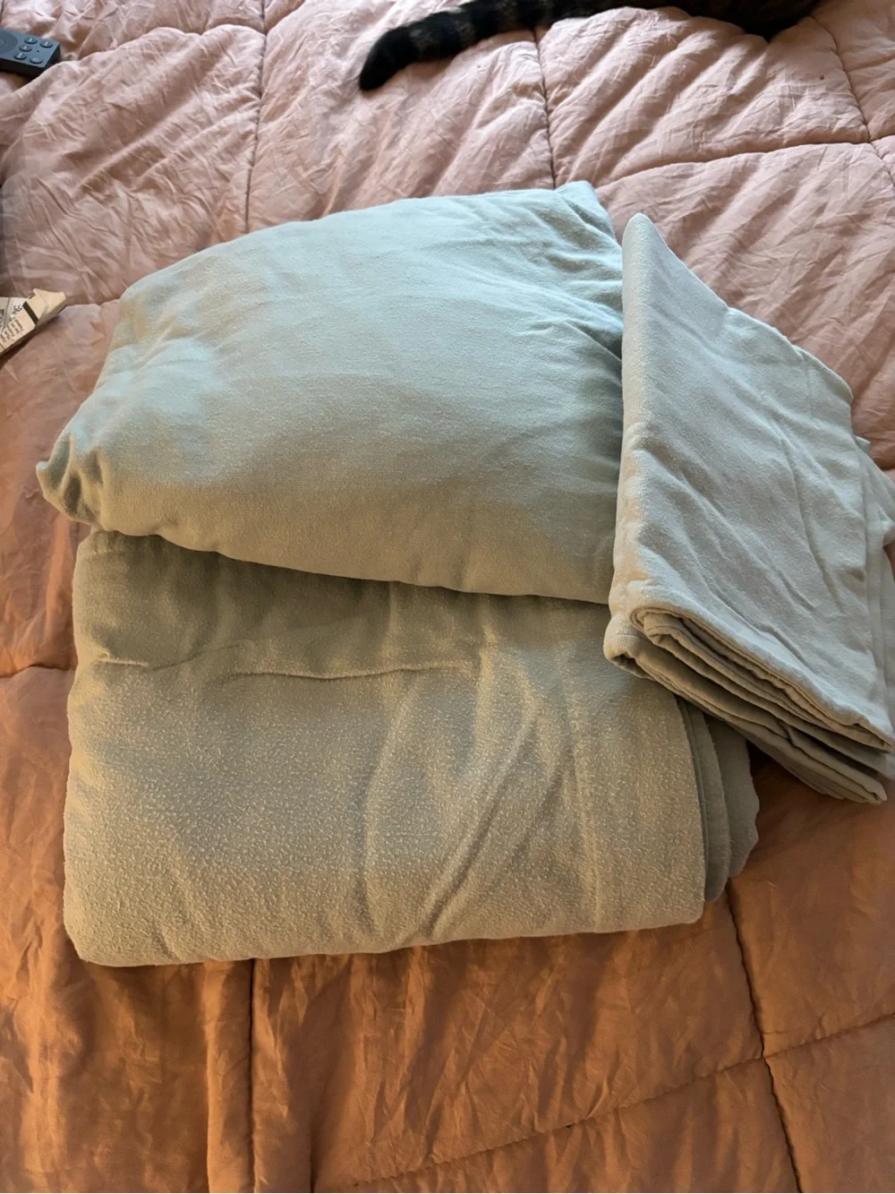 L.L. Bean Light Sage Green Comforter Set